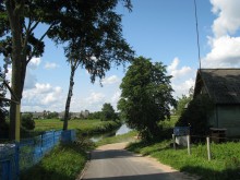 summer day in the countryside / ***