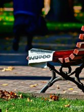 Forgotten true / ***