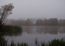 fog on the river / ,,,,,,,,,,,,,