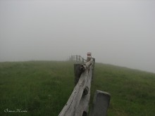 The road in the fog ... / ************