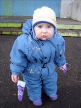 Where's the bird? / ***