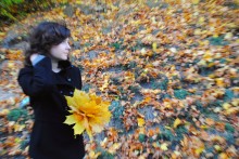 Autumn kaleidoscope / ********