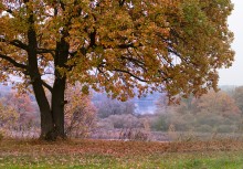 Autumn on the Berezina .............. ............. / ***