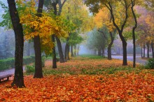 Autumn - beauty / ***