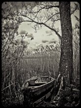 On the moors ... / ***