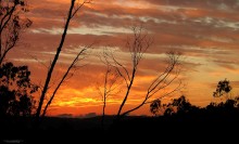 The sky is not far / ***