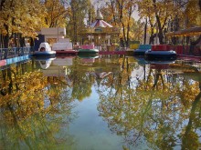 In the Mirror of autumn. / ***