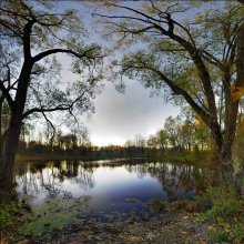 The old pond ... Continued .... / ***