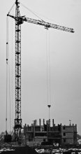 Crane / ***