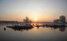 Chilly misty morning / ***