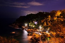 _night_cafe_ / *****