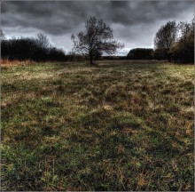 overgrown in the park ... / ***