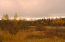 Autumn theme / ****************