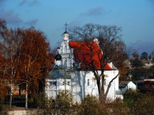 temple and a tree / ***