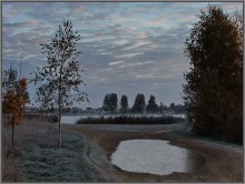 Frozen puddle / ***