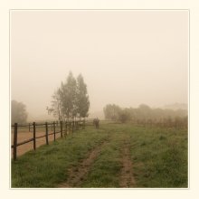foggy morning ... / ***