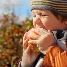 Timothy and apple. / ***