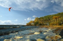 Autumn Kite / __________