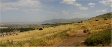 The Golan Heights / ***