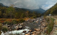 mountain stream / ***