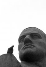 man and bird / ***