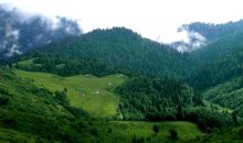 The mountains in a thick fog ... / ***