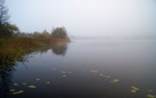 The autumn mist / ,,,,,,,,,,,,,,,