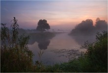 In morning slumber / ***