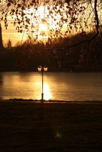 In the evening / .........