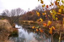 On the last day of October / ________________________________*