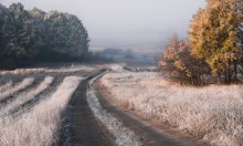 Autumn frost / ***