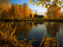 Mirror of autumn / ***