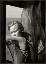 Fellow traveler ... / ***