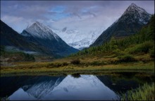 The memory of the Altai / ***
