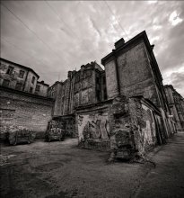St. Pete backyard / ***
