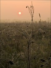 constrained iniem / ***