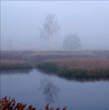 reflection of one for two / ,,,,,,,,,,,