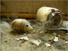 Crew cut / no comment