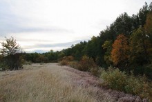 Frosty morning in October / _________________________*