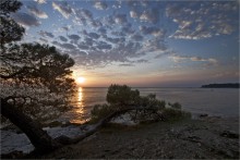 The smell of pine trees, sea and sunset. / ***