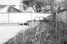 ... dream of childhood ... / ***