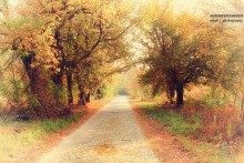 Autumn road / ******