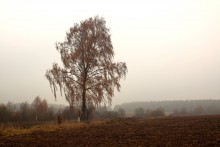 Autumn melancholy / _______________