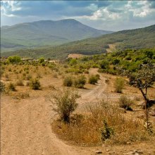 About a mountain road / *****