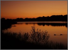 Graphics dawn / ***