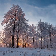 Winter lace .... / ***