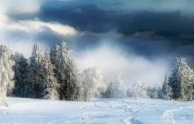 The painting in the snow / ***