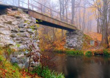 bridge in fall / ***
