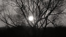 Cradle for the sun / _______________________*