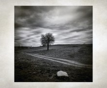 landscape with a stone / ***